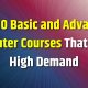 Basic and Advanced Computer Courses